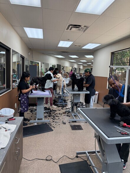 More Photos Of 6909 E Lincoln Dr, Paradise Valley Veterinarian Kennel For Sale