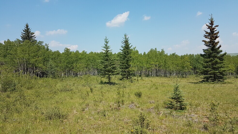 More Photos Of 1 Bow River, Rocky View No 44 Land For Sale