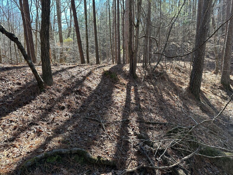 More Photos Of 3472 Prior Station Rd, Cedartown Land For Sale