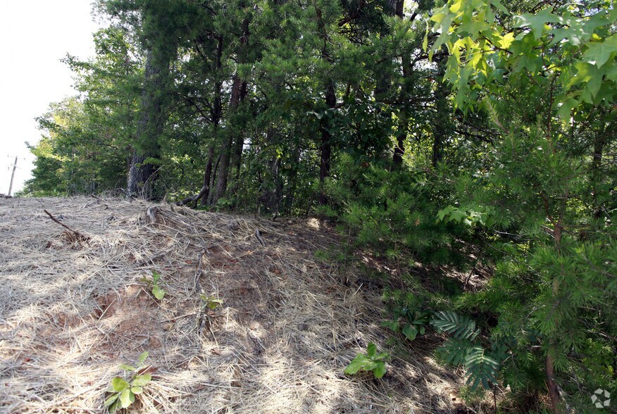 Primary Photo Of Mine Rd & Greenspring Dr, Stafford Land For Lease