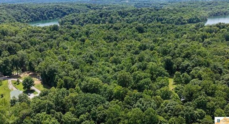 More Photos Of 0 Wilderness Road, Mammoth Cave Land For Sale