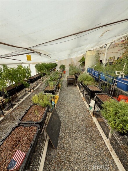 More Photos Of 691 Desert Trail Way, Tecopa Winery Vineyard For Sale