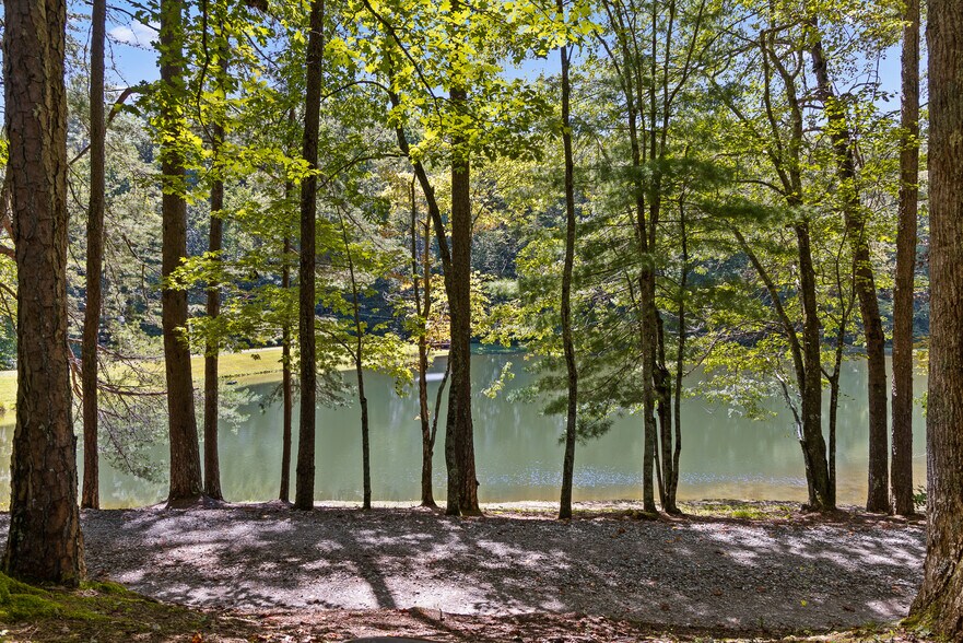 More Photos Of 340 Willow Creek Dr, Blue Ridge Hotel For Sale