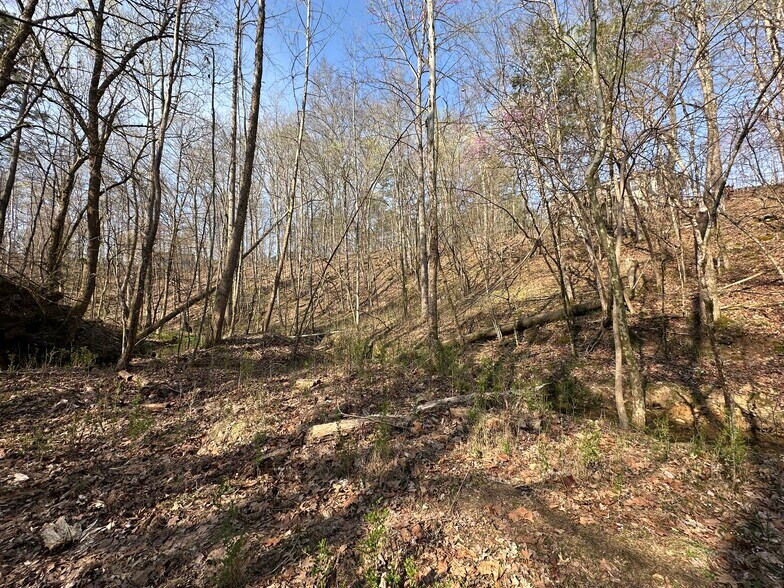 More Photos Of 7312 Highway 60, Georgetown Land For Sale