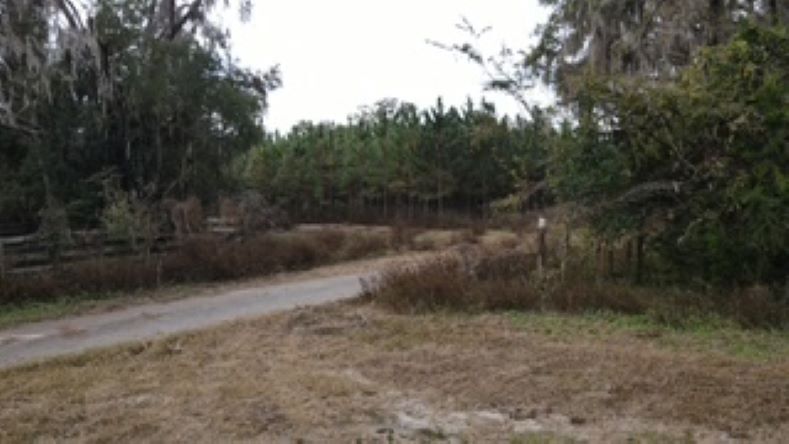 More Photos Of 10602 NW 143rd St, Alachua Land For Sale