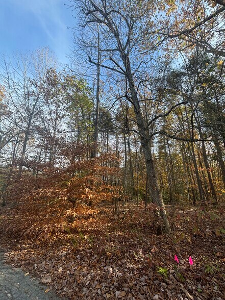 More Photos Of 3207 Broad st, Gum Spring Land For Sale