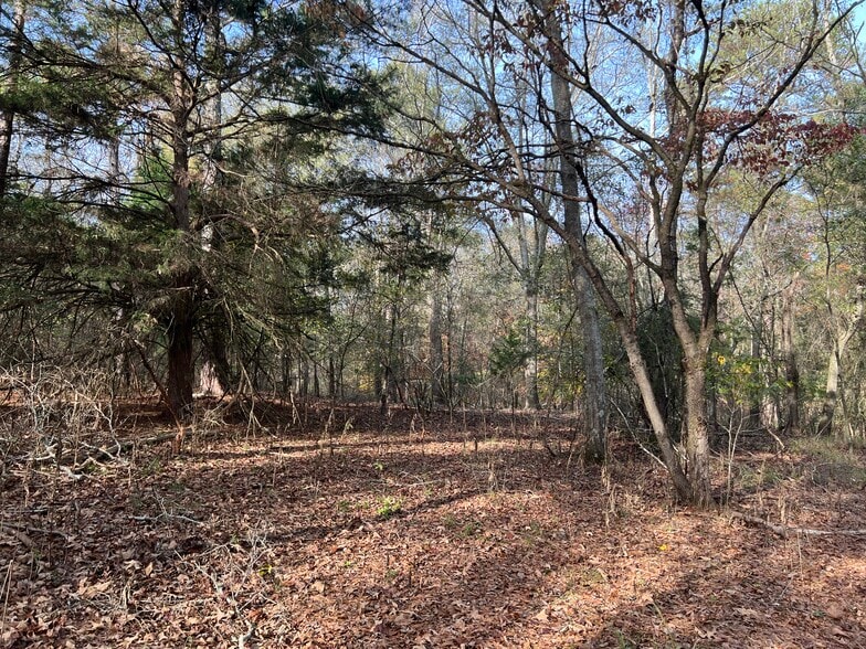 More Photos Of 0 Dickson Dr, Danielsville Land For Sale