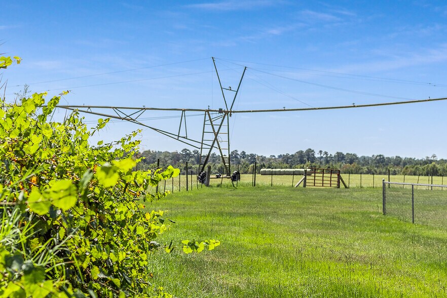 More Photos Of 1110 US Highway 280 W, Reidsville Specialty For Sale