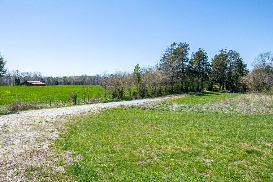 More Photos Of 3170 Phillips Chapel Rd, Waynesboro Land For Sale