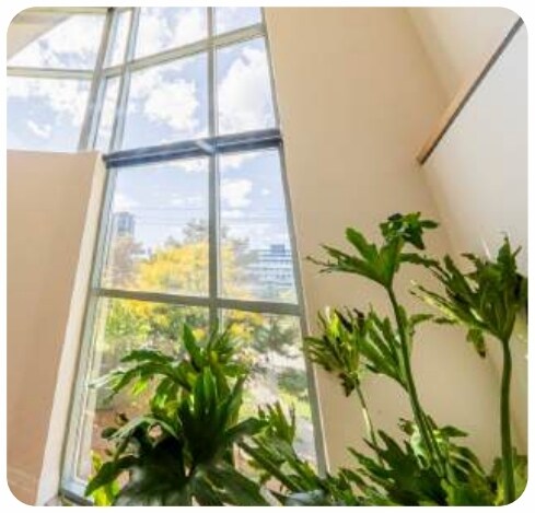 More Photos Of 115 Walnut Ave, Toronto Office For Sale