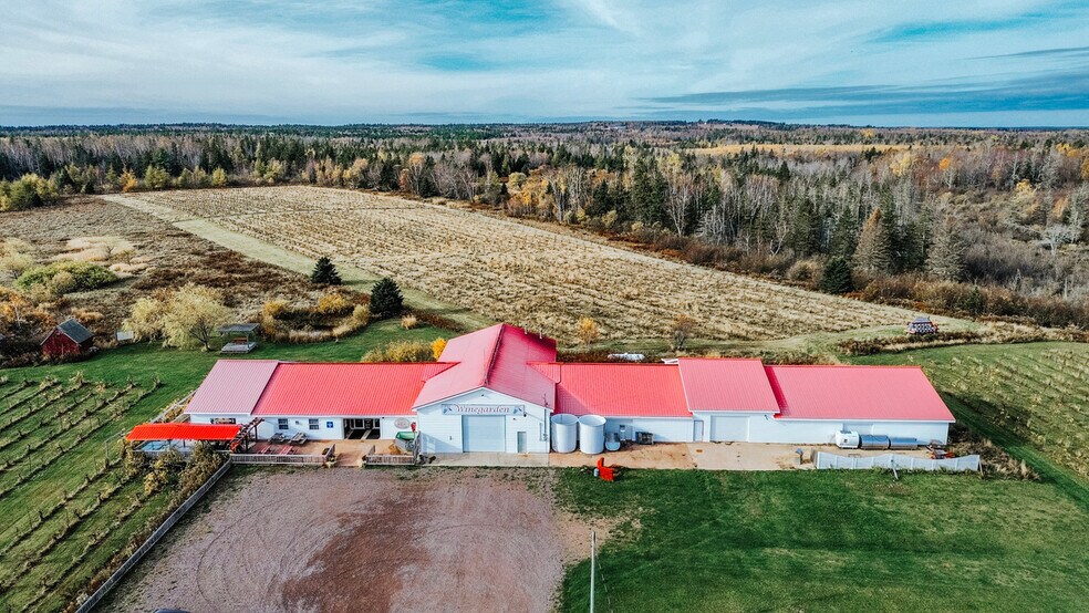 More Photos Of 851 Route 970, Baie Verte Winery Vineyard For Sale