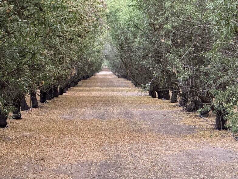 More Photos Of E. Keyes Rd @ Montpelier Rd, Denair Land For Sale