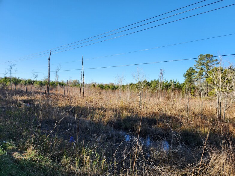 More Photos Of US 264A, Zebulon Land For Sale
