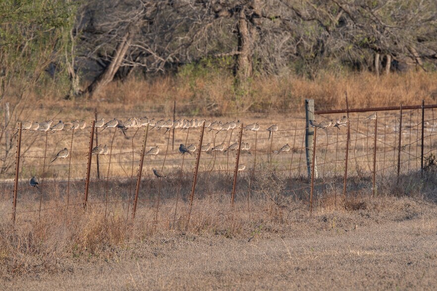 More Photos Of Las Brisas Road, Rio Grande City Land For Sale
