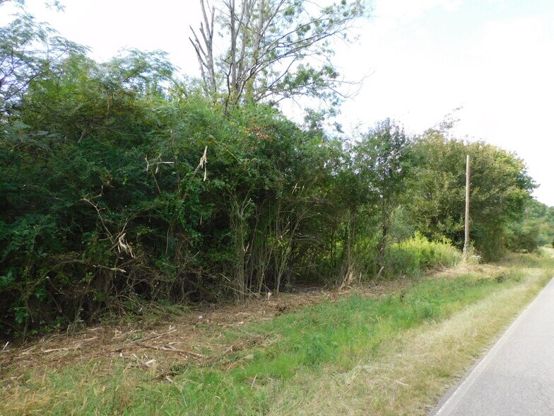 Primary Photo Of 1389-1409 Creswell Rd, Harpersville Land For Sale