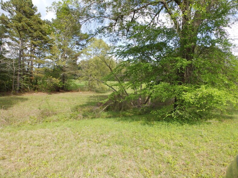 More Photos Of 19546 Tx-155, Flint Land For Sale