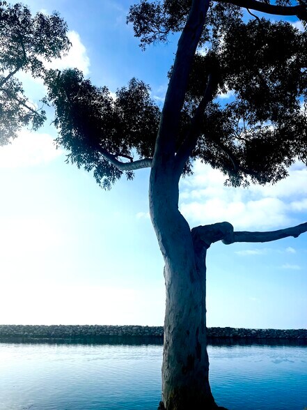 More Photos Of 41st Street, Paw Paw Land For Sale