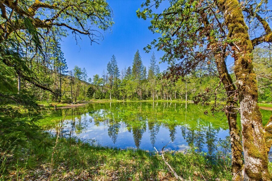 More Photos Of 6691 Reading Creek Rd, Douglas City Land For Sale