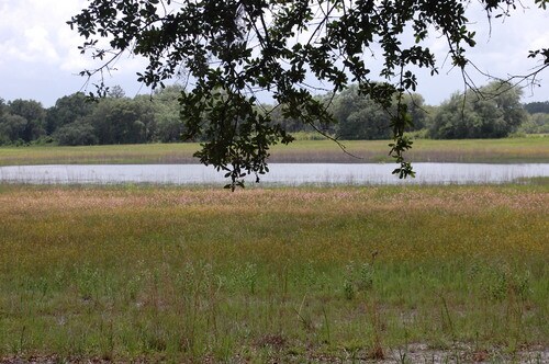 More Photos Of 4107 NE 255th Dr, Melrose Land For Sale