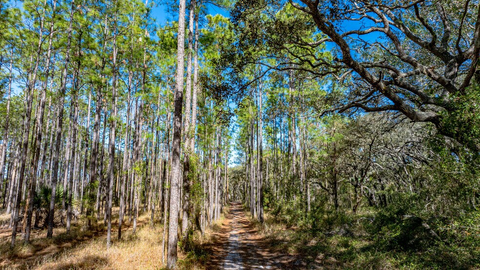 More Photos Of 13615 Tyrone St, Hudson Land For Sale