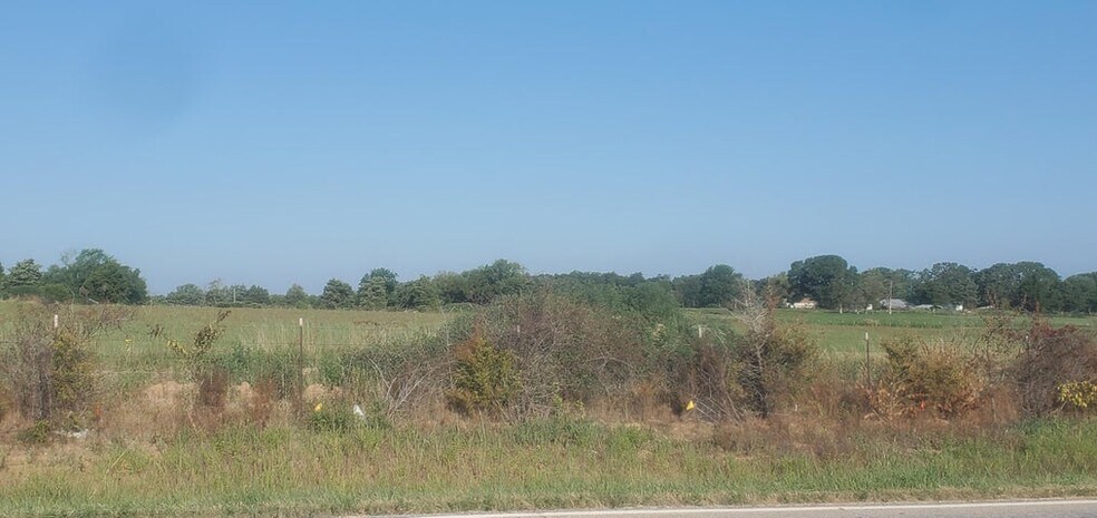 More Photos Of 000 State Highway 125, Rogersville Land For Sale