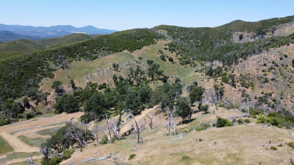 More Photos Of 22004 Morgan Valley rd, Lower Lake Land For Sale