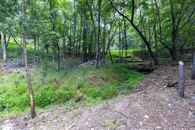 More Photos Of 22590 Criders Rd, Criders Land For Sale