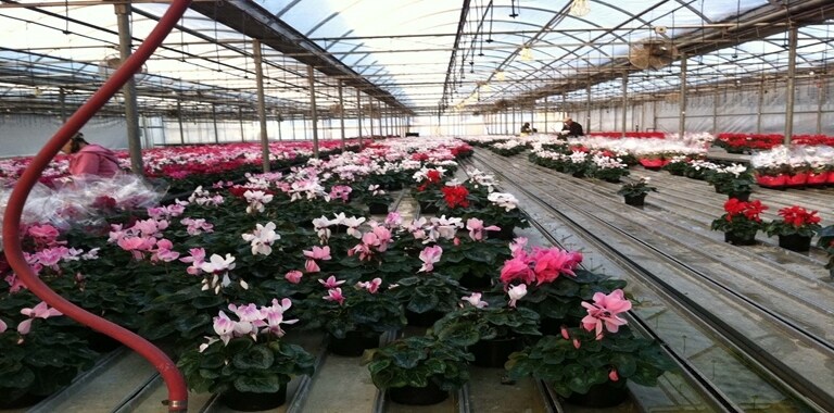 More Photos Of 609-621 E Maple Ave, Newark Light Manufacturing For Lease