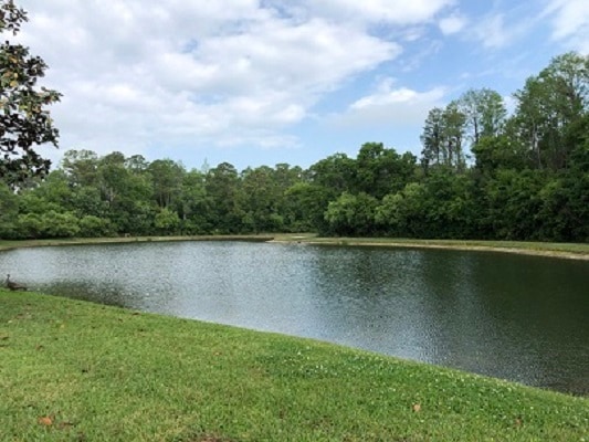 More Photos Of 720 N Brooker Creek Blvd, Oldsmar Flex For Sale