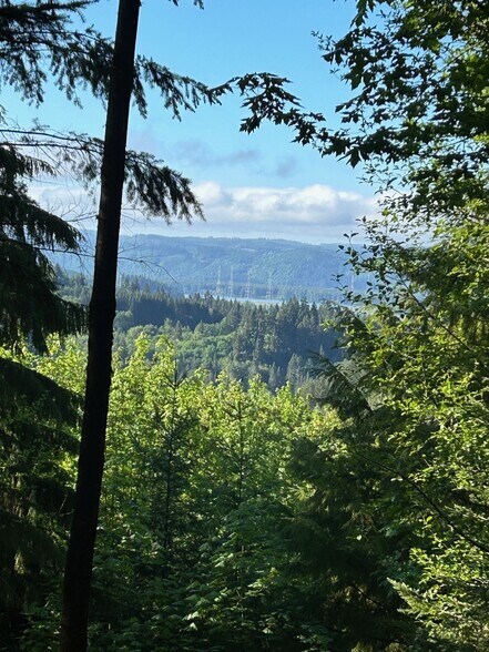 More Photos Of 0 Carlon Loop Rd, Longview Land For Sale