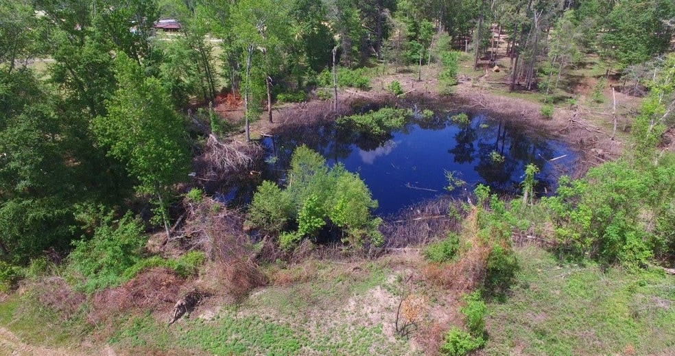 More Photos Of 775 Bembry Ave, Unadilla Theater Concert Hall For Sale