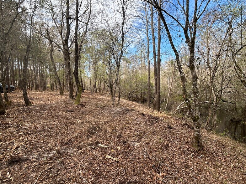 More Photos Of Victoria Blvd, Winnabow Land For Sale