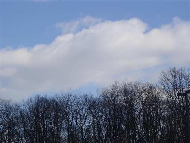 Primary Photo Of Red Mill Rd, East Greenbush Land For Sale