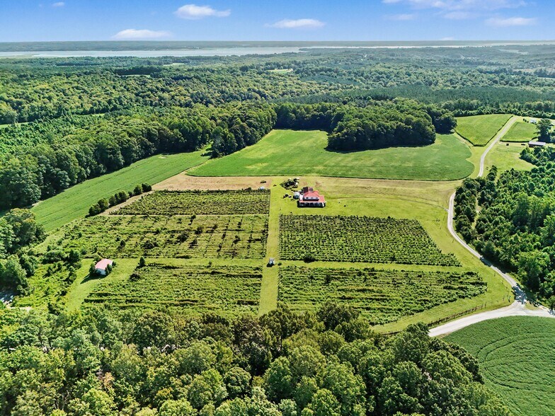 More Photos Of 495 Meadow Landing Ln, Caret Winery Vineyard For Sale