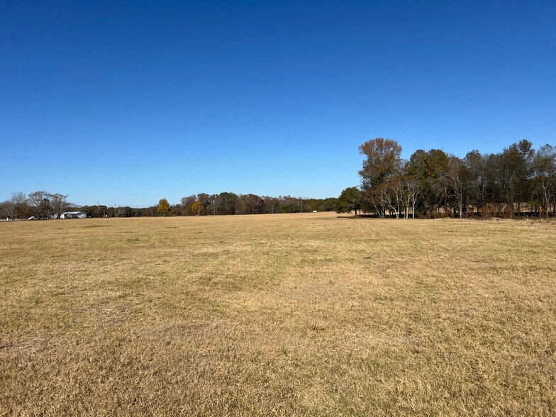 More Photos Of 269 Pea Ridge Rd, Montrose Land For Sale