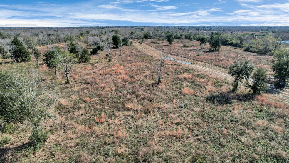 More Photos Of 10 FM 2403, Alvin Land For Sale