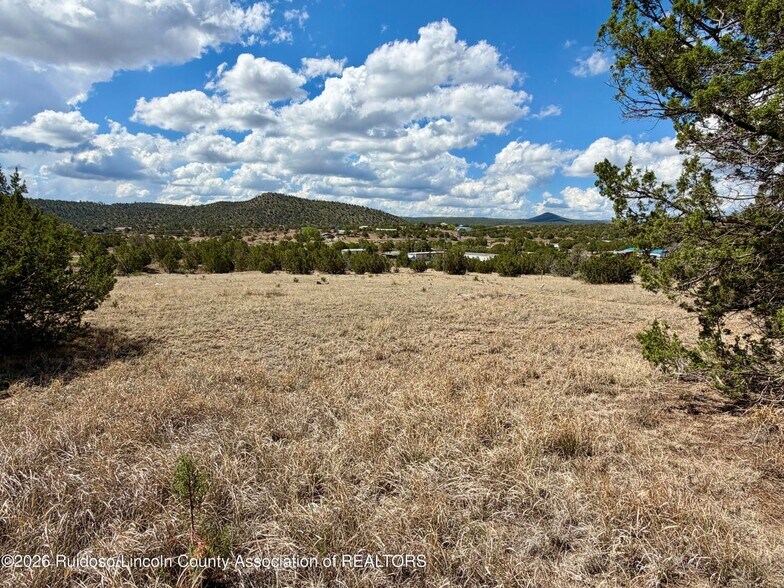 More Photos Of 104 Aspen Dr, Capitan Manufactured Housing Mobile Home Park For Sale