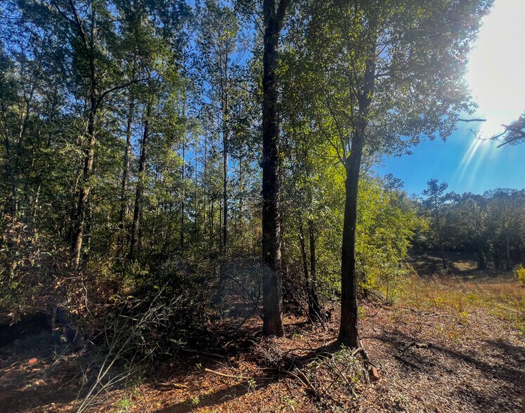 More Photos Of 0 Highway 198, Lucedale Land For Sale