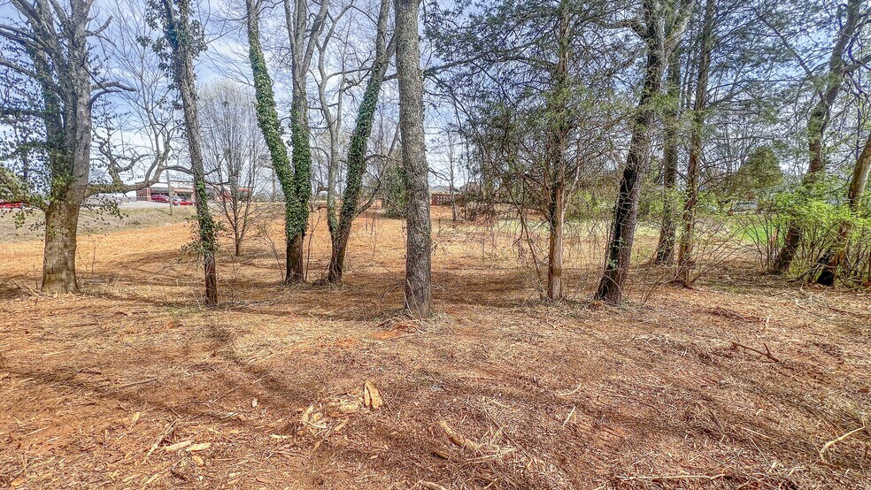 More Photos Of 11211 Chapman Hwy, Seymour Land For Sale