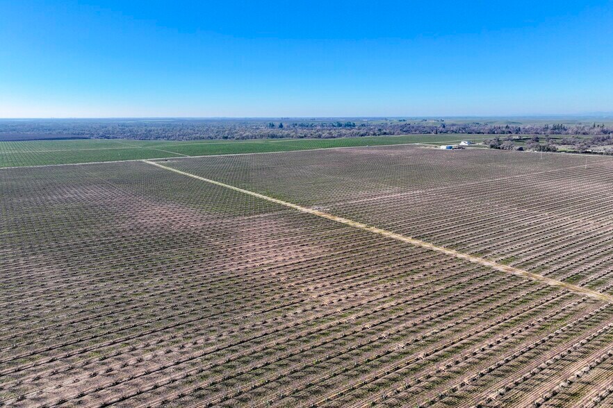 More Photos Of 15116 Allen rd, Snelling Land For Sale