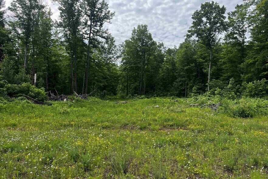 More Photos Of Laird Road Rd, Pelkie Land For Sale