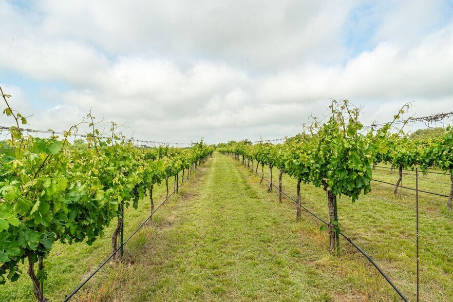 More Photos Of 675 County Road 497, Dublin Winery Vineyard For Sale