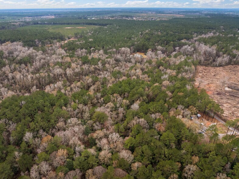 More Photos Of TBD 25 acres Tatoo Road, Glenmora Land For Sale