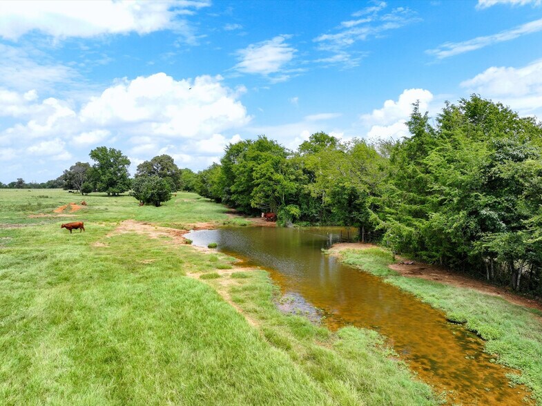 More Photos Of Tract 5 FM 855, Jacksonville Land For Sale