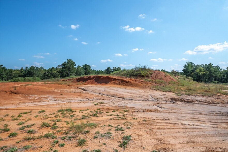 More Photos Of 18021 State Highway 155 S hwy, Flint Land For Sale