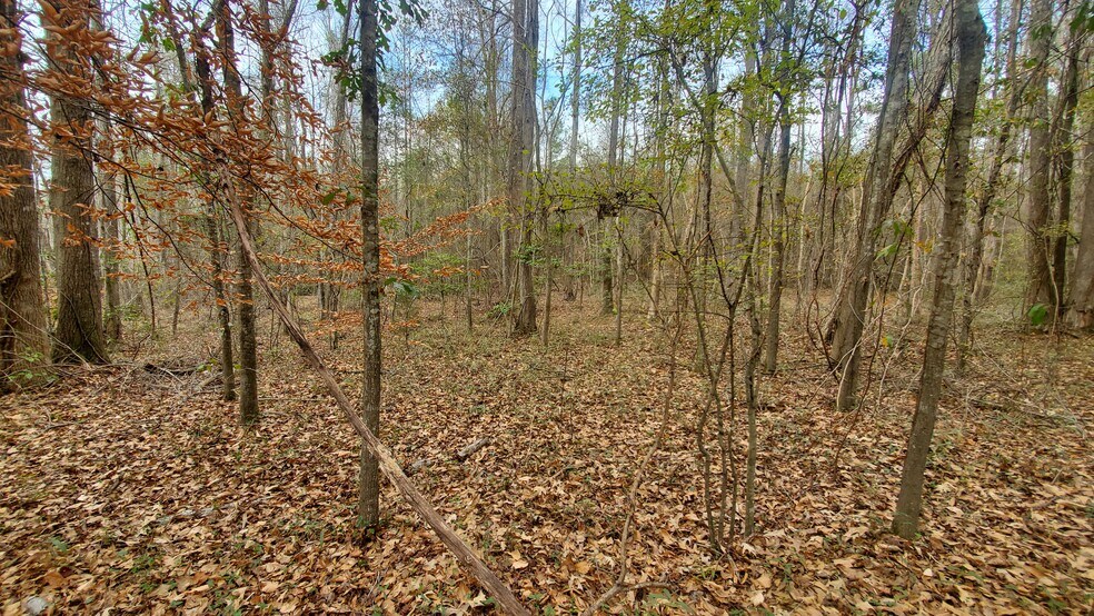 More Photos Of South Nowell Road, Macon-Bibb Land For Sale