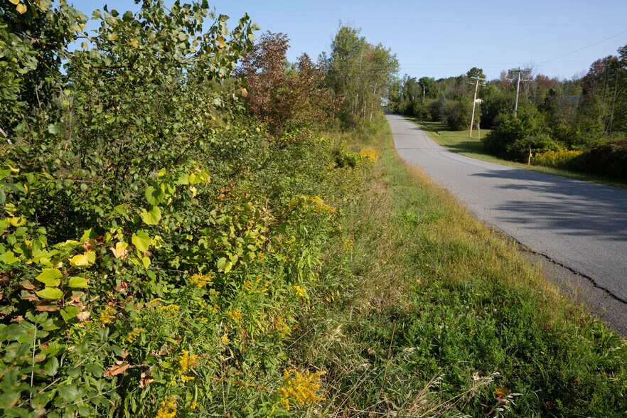 More Photos Of 219 Mudge rd, Delanson Land For Sale