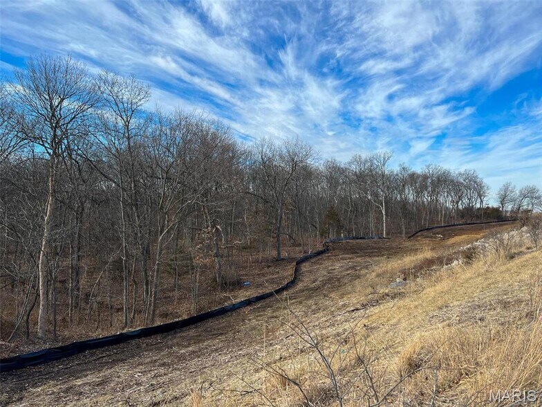 More Photos Of 31 S Highway 19, New Florence Land For Sale
