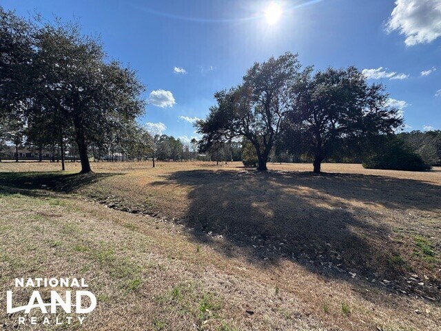 More Photos Of Hwy 421 S. Malpass Corner, Burgaw Land For Sale