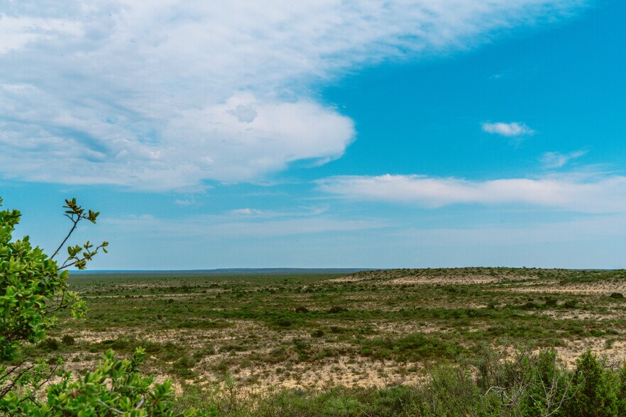 More Photos Of County Road 1865, Langtry Land For Sale
